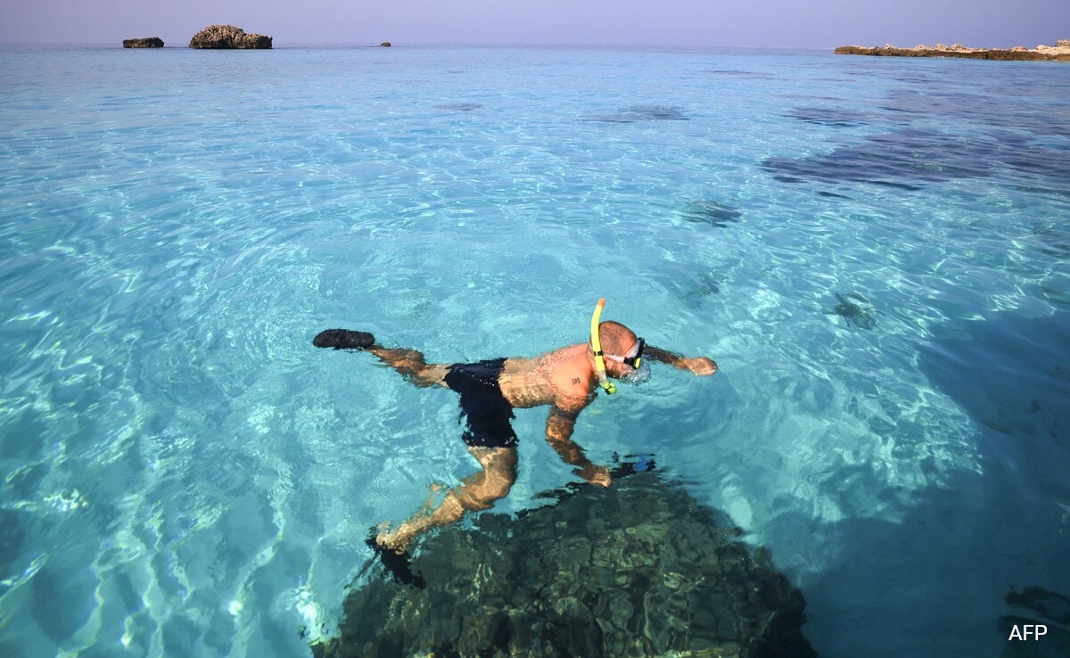 Explained: Why Are Volunteers Guarding Oman's "Unique" Coral Reefs