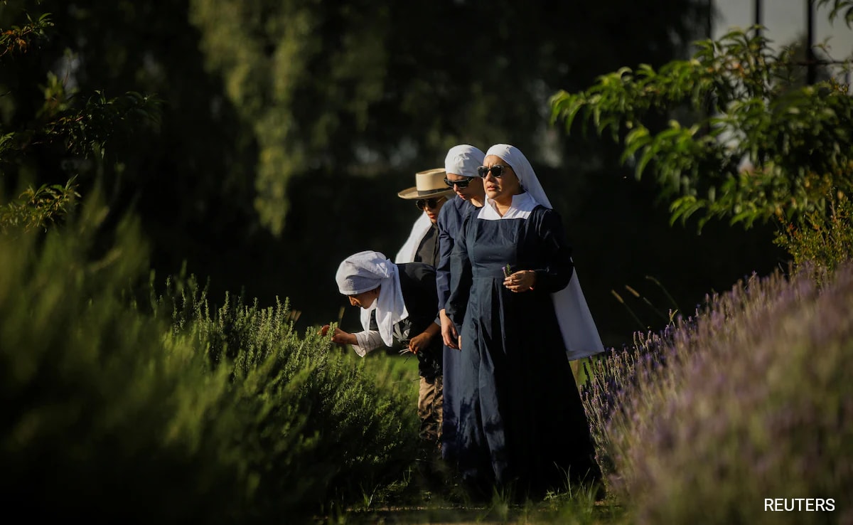 Mexico's "Weed Nuns" Launch Movement To Take Marijuana Back From Narcos