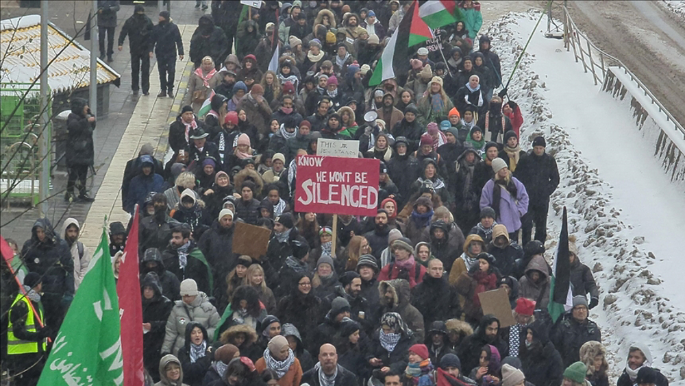 Hundreds of Swedes protest in solidarity with Palestinians