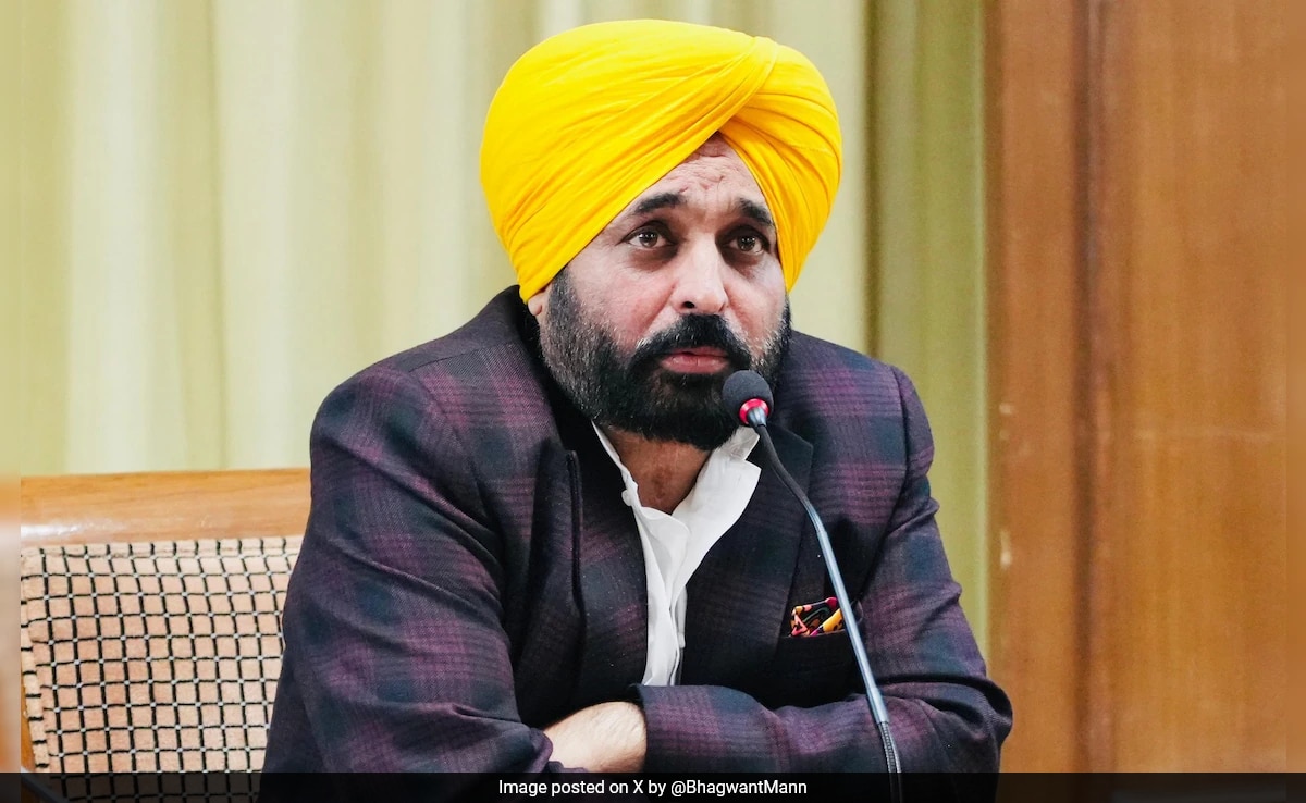 Bhagwant Mann's "Rejected Category" Remark Amid Row Over Punjab Tableau