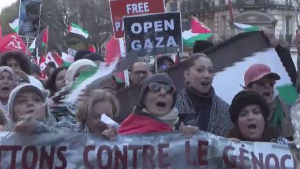 Pro-Palestinian protesters in Paris, Brussels demand end to Gaza genocide