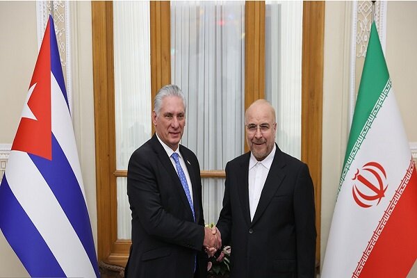 Cuban President meets Iranian Parliament speaker