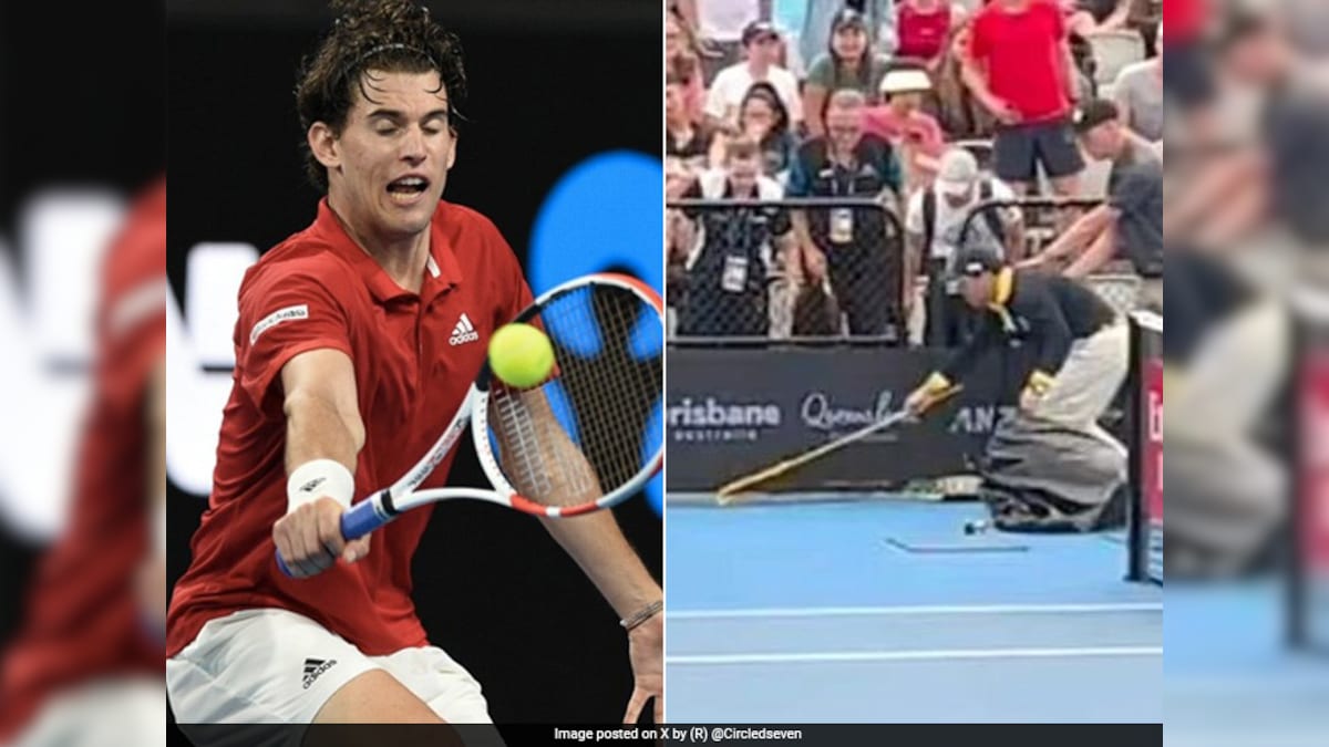 Watch: Poisonous Snake Stops Thiem's Match In Brisbane. This Happens Next