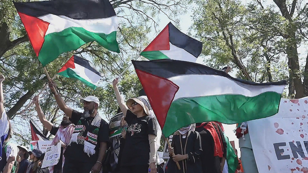 Hundreds join pro-Palestine march in South Africa's Johannesburg