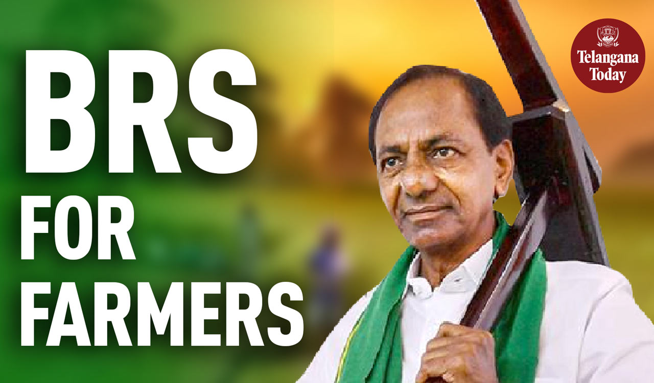 BRS For Farmers: Rythu Bandhu, Rythu Bima, Mission Kakatiya, Kaleshwaram Project To Support Farmers