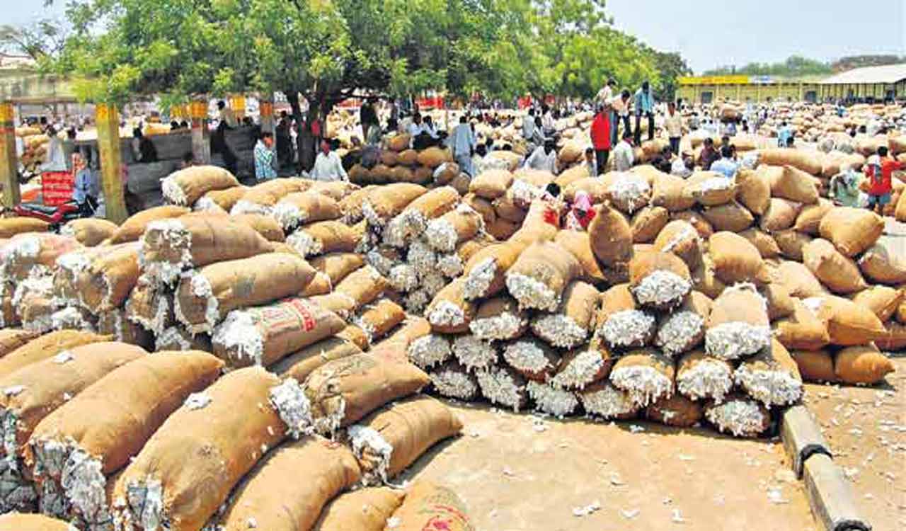 Sangareddy cotton farmers find difficult to get MSP for their produce