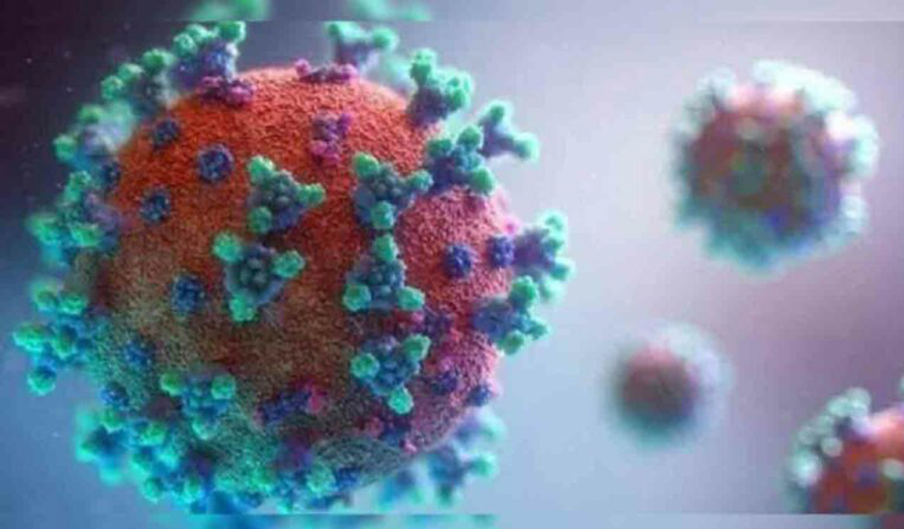 Covid virus can persist in lungs for up to 18 months after infection: Study