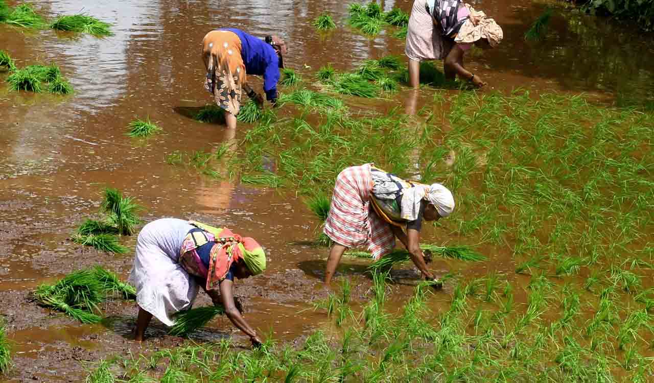 Minister sparks controversy, says ‘farmers wish for droughts as their loans get waived’