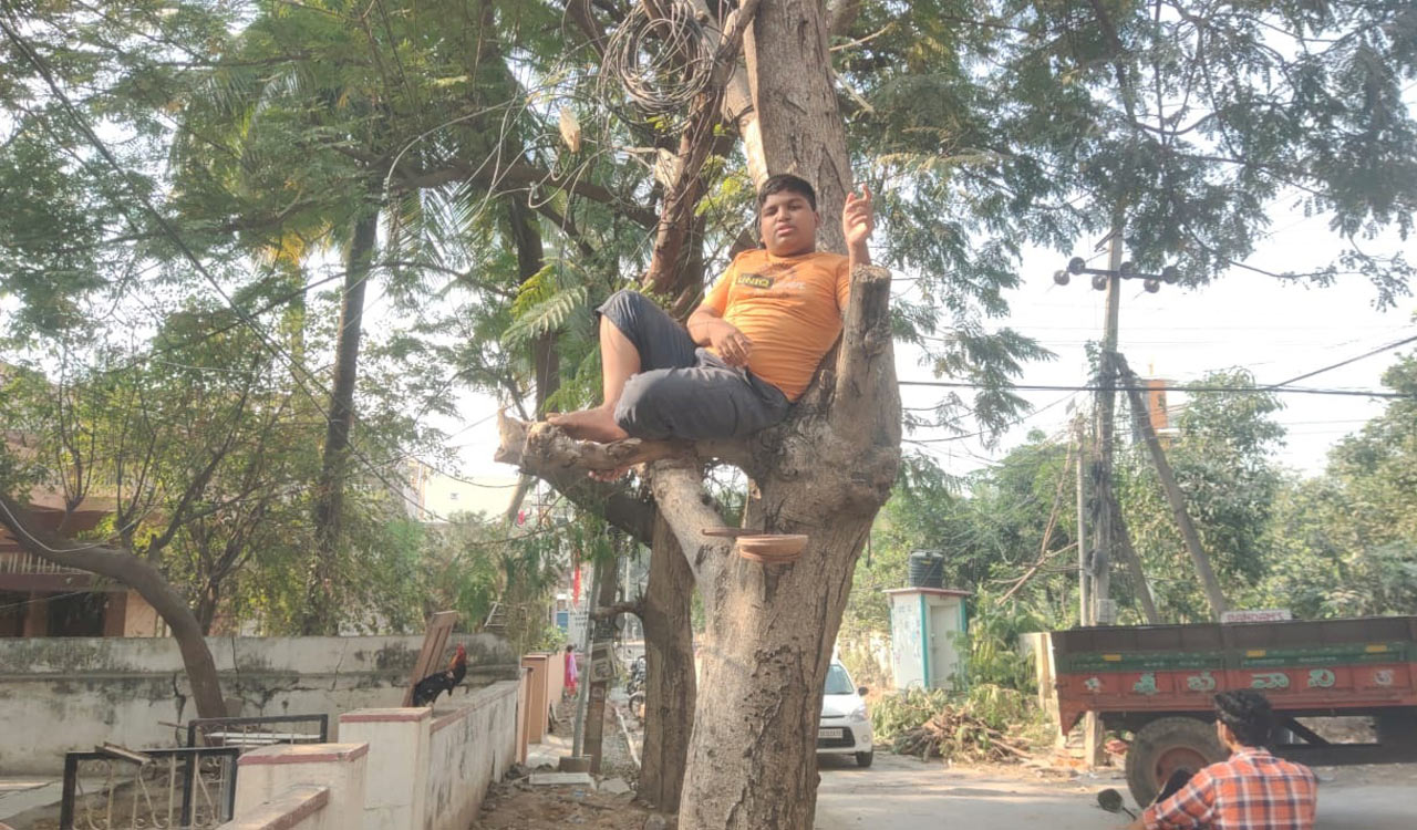 12-year-old boy sits on tree for 7 hrs to stop felling in RC Puram