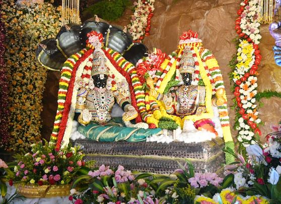 Devotees flock to Tirumala for Vaikunta Ekadasi celebrations