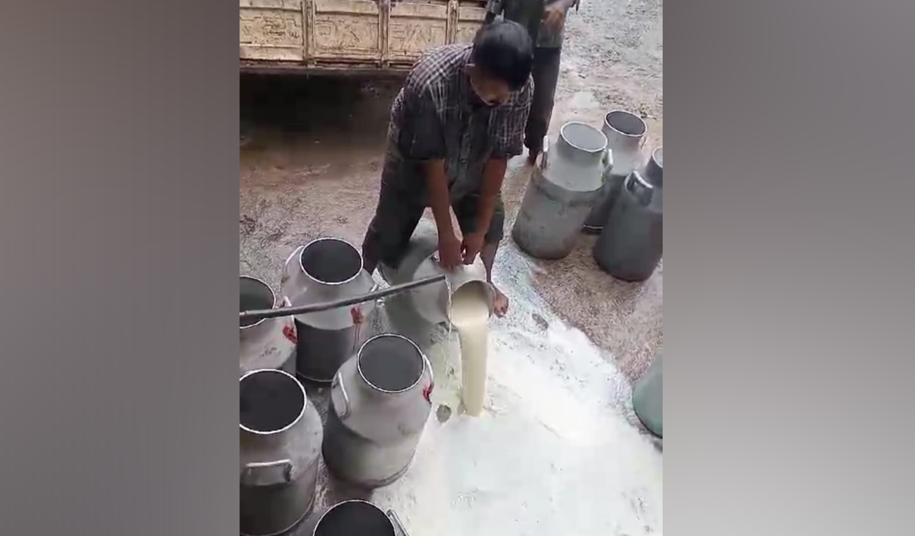 Telangana: Vijaya Dairy milk in some centres found to be adulterated