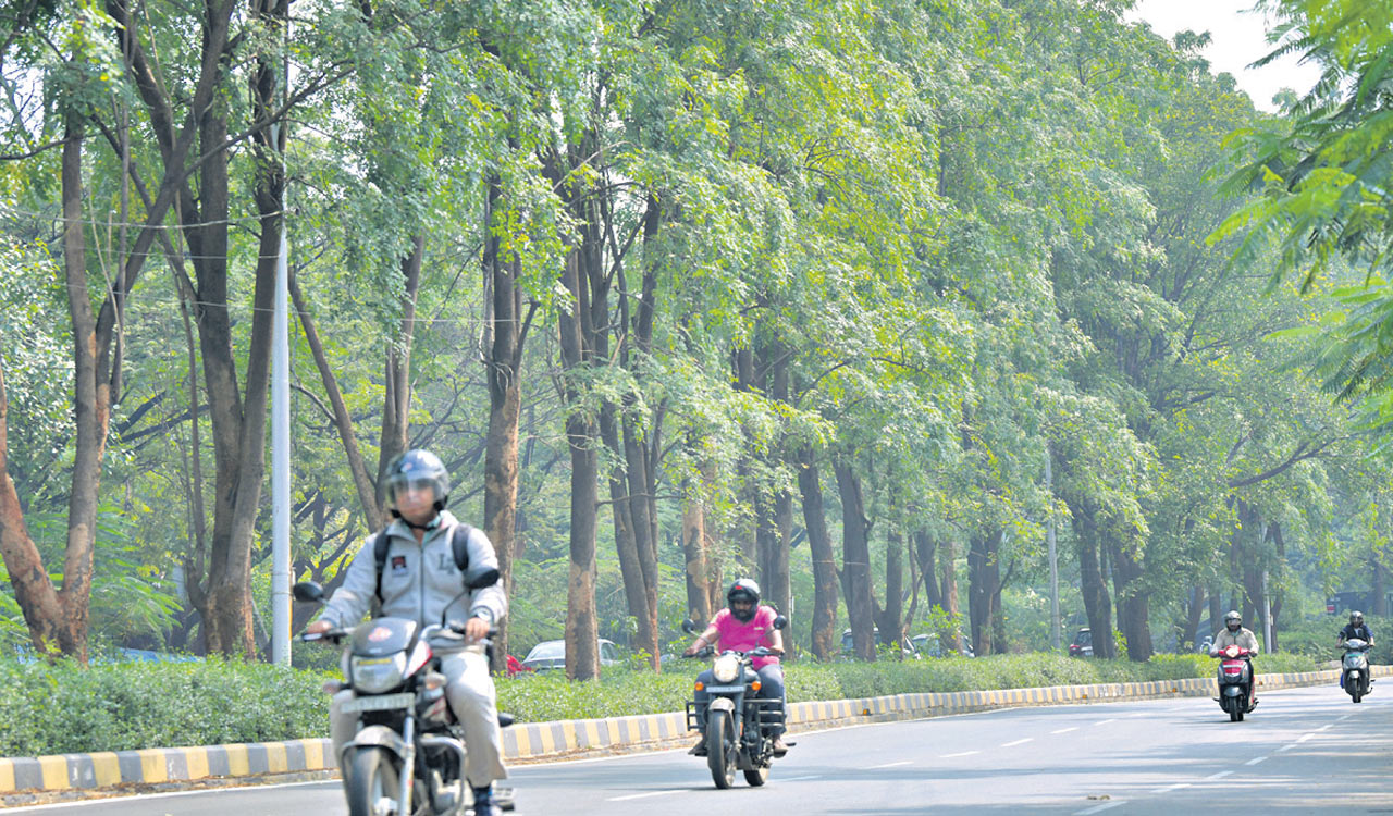 Delhi smog: Experts urge regional cooperation to combat air pollution