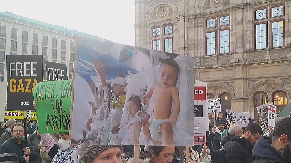 Pro-Palestine protests held in Austria after court ruling eases restrictions