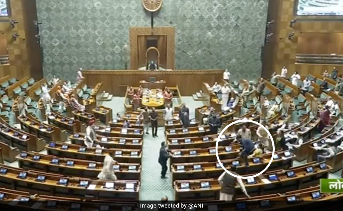 After Parliament Breach, MPs Overpower Intruder, Rain Blows On Him