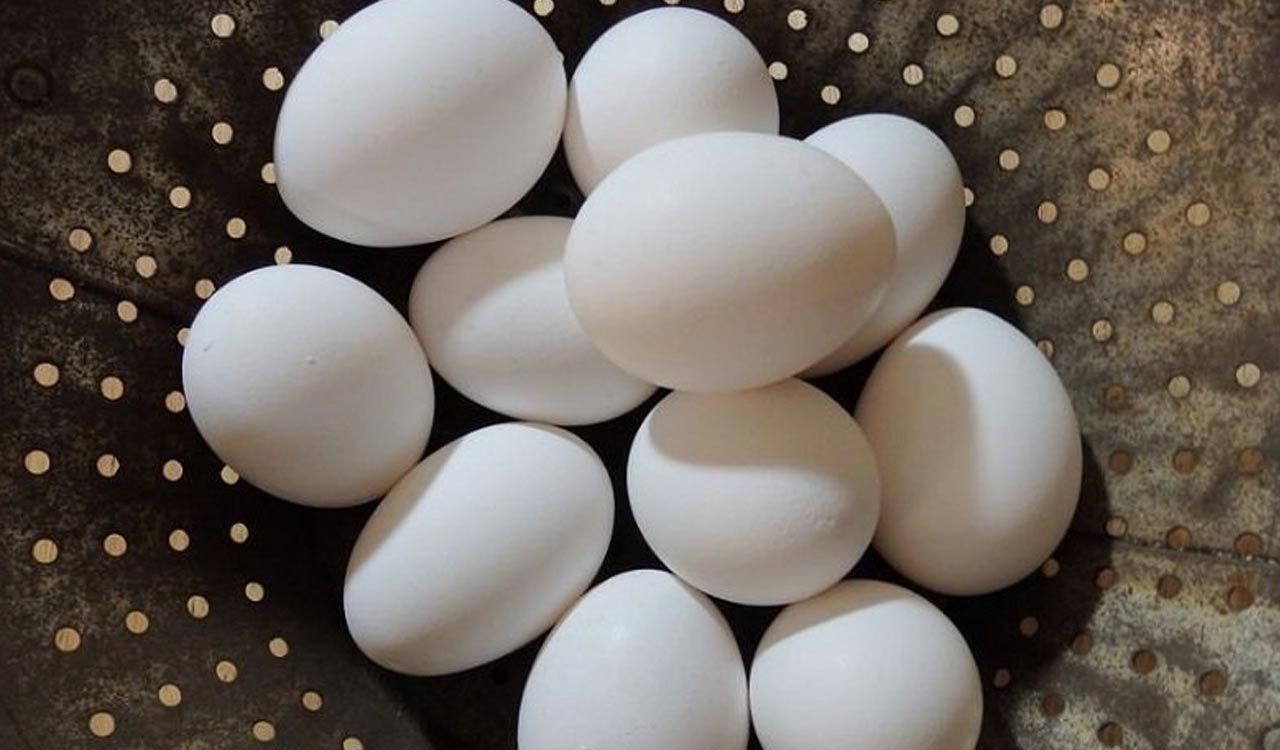 Telangana: Egg prices skyrocket in Karimnagar