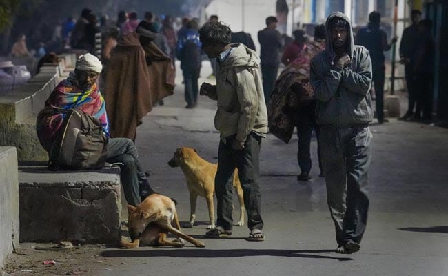 Cold Wave Hits Odisha, Temperature Drops To 8.4 Degrees Celsius