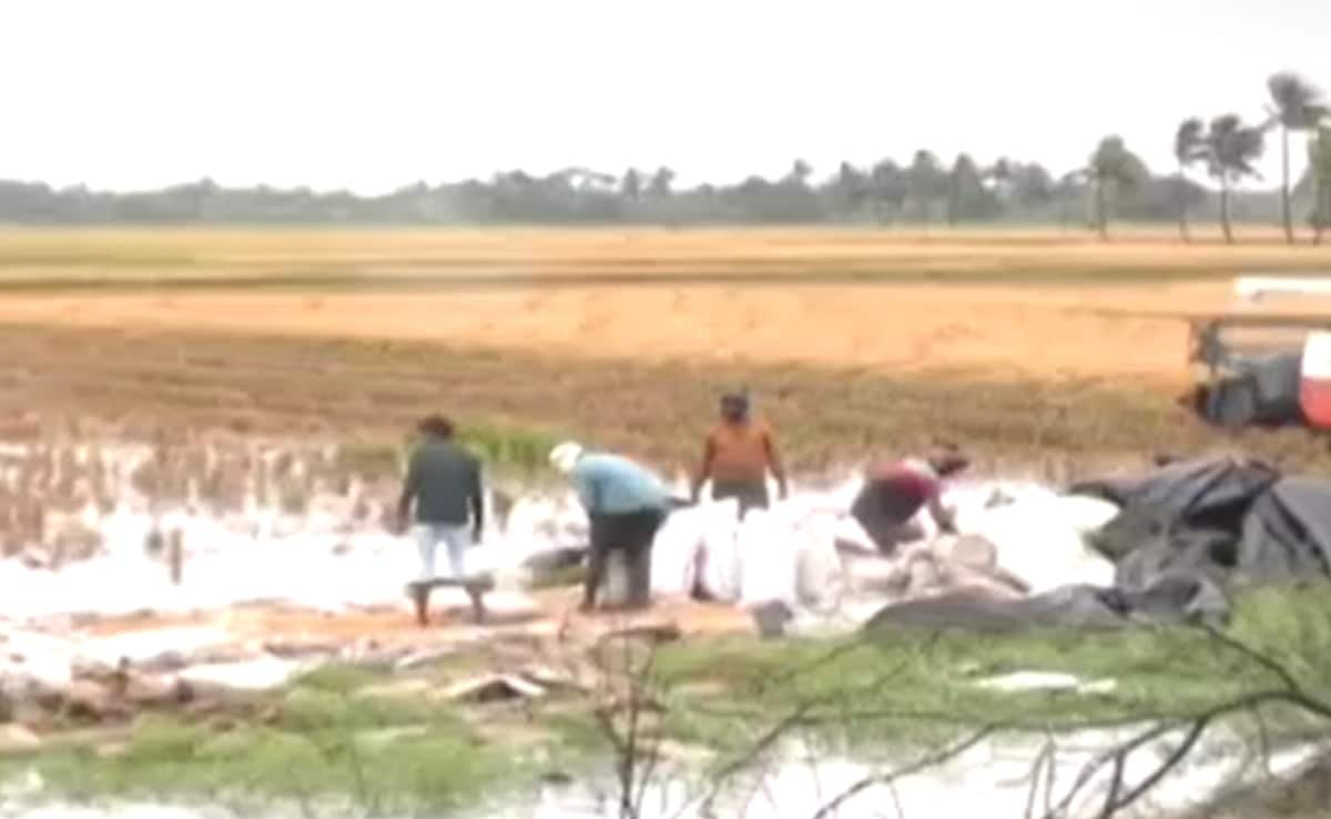 Ground Report: Andhra Farmers Face Tough Challenge Of Saving Crops