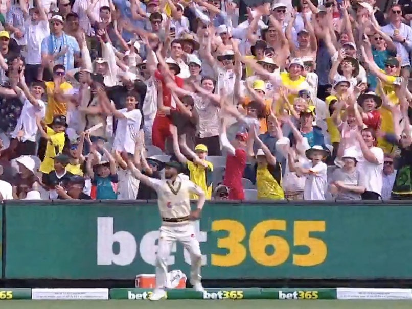 Watch: MCG Crowd Dances To Hasan Ali's Moves. Video Breaks Internet