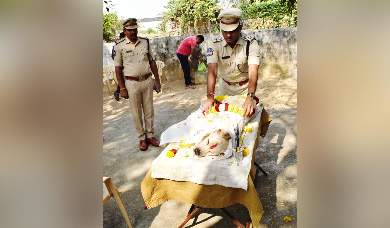 Sniffer dog ‘Julie’ dies of ailment in Nirmal