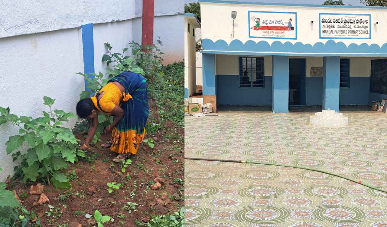 Mancherial teachers, students grow vegetables in school