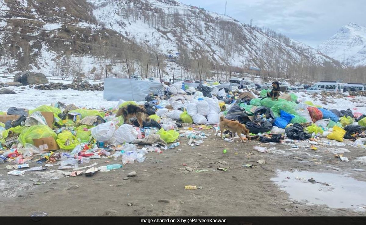 Garbage Pile-Up Near Atal Tunnel As Himachal Sees Heavy Holiday Rush