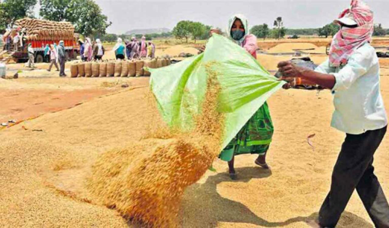 Paddy procurement slows down in Telangana