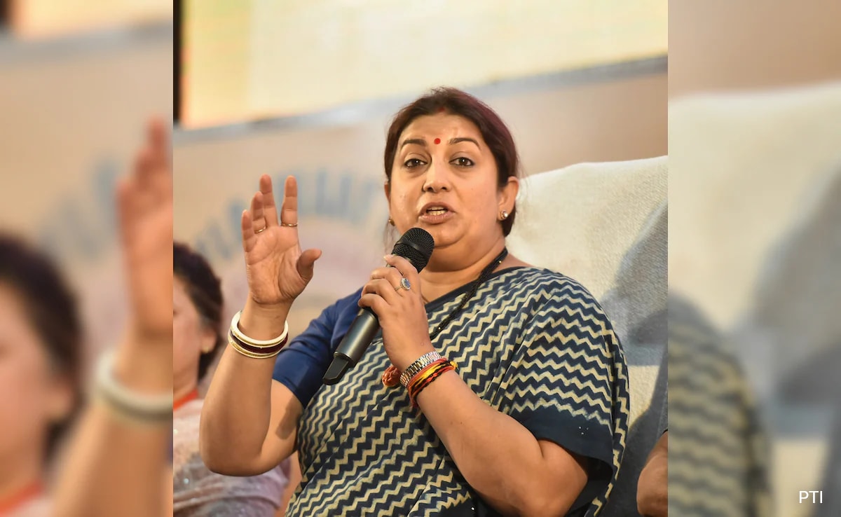 "PM Modi Doesn't Need Validation Of Cosy Clubs In Lutyens": Smriti Irani