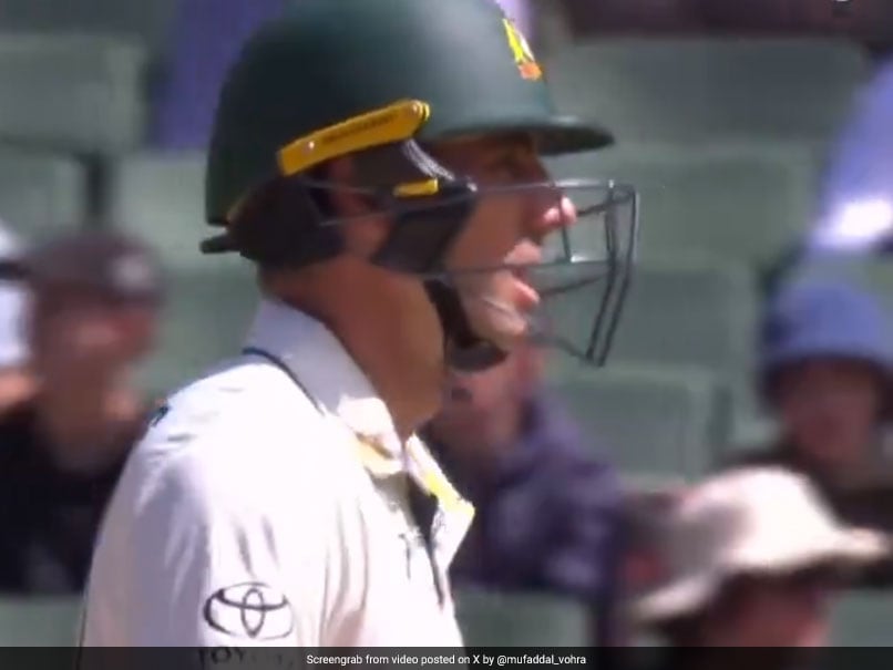 Watch: Bizarre Scenes As Australia Take 5 Runs Without Boundary Or No Ball