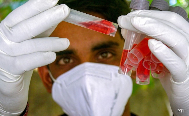 21 Cases Of New Covid Variant JN.1 In India Confirmed In Lab Tests