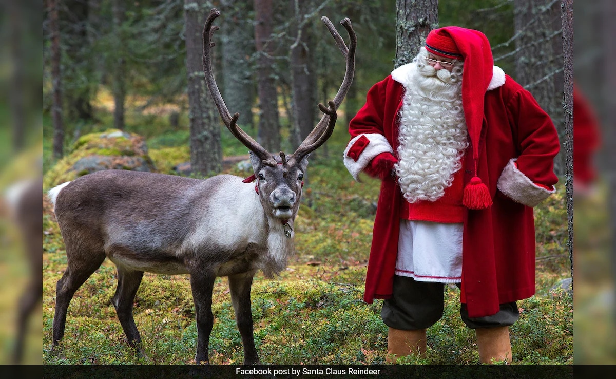 Jolly White-Haired, Bearded Man: What Are The Origins Of Santa Claus