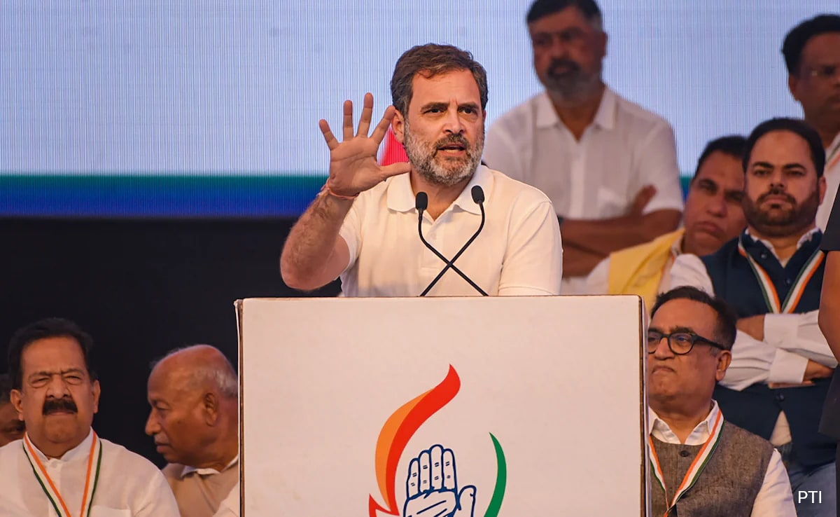 "At Least He Won't Go Abroad": BJP MP's Swipe At Rahul Gandhi's Yatra