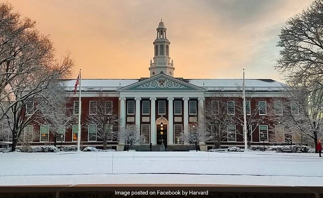 Harvard University Chief Quits, Cites "Racial Animus" In Resignation Letter