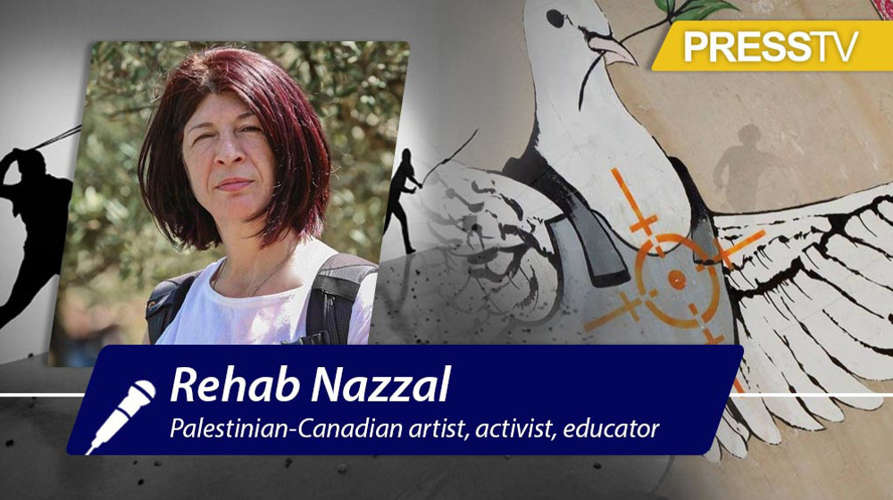 Representation of Palestine in West framed by Zionist narrative, interests: Artist