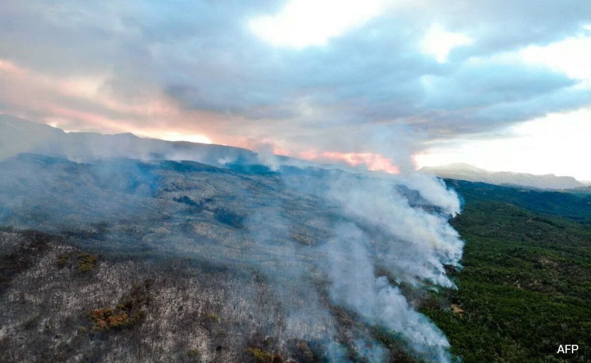 "Out Of Control" Fire Breaks Out In Argentina's Los Alerces National Park