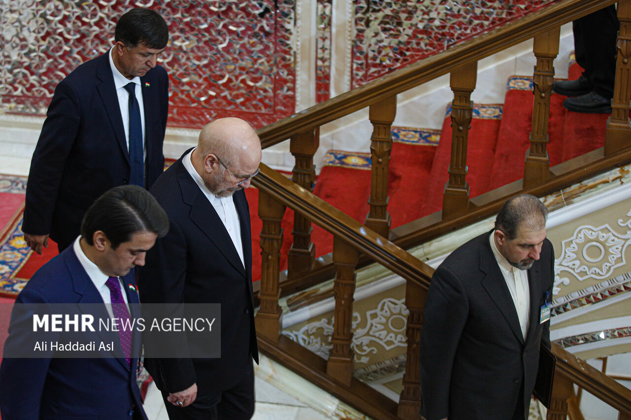 Meeting between Iran, Tajikistan parliament speakers