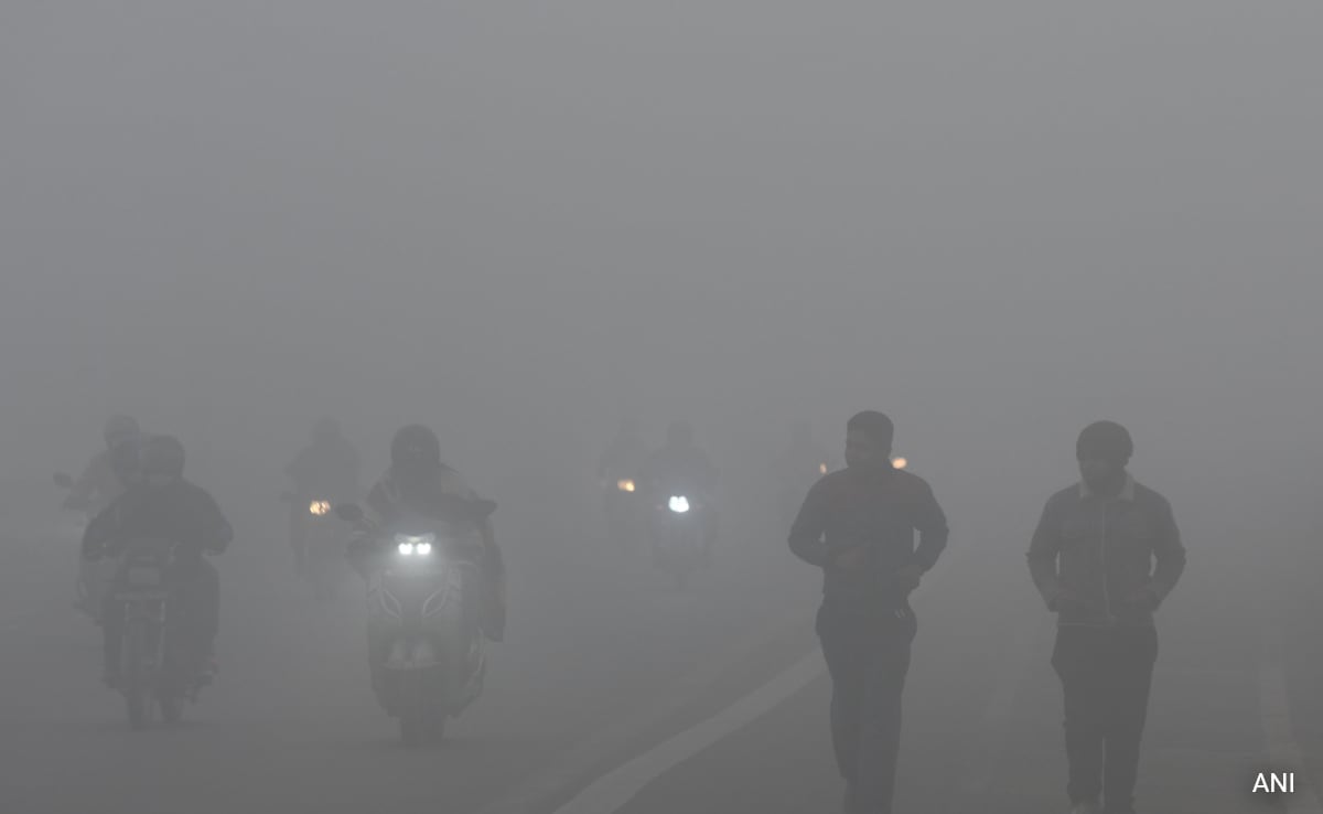 Foggy Mornings, Cold Wave To Continue Across North India For Next 2 Days: Weather Office