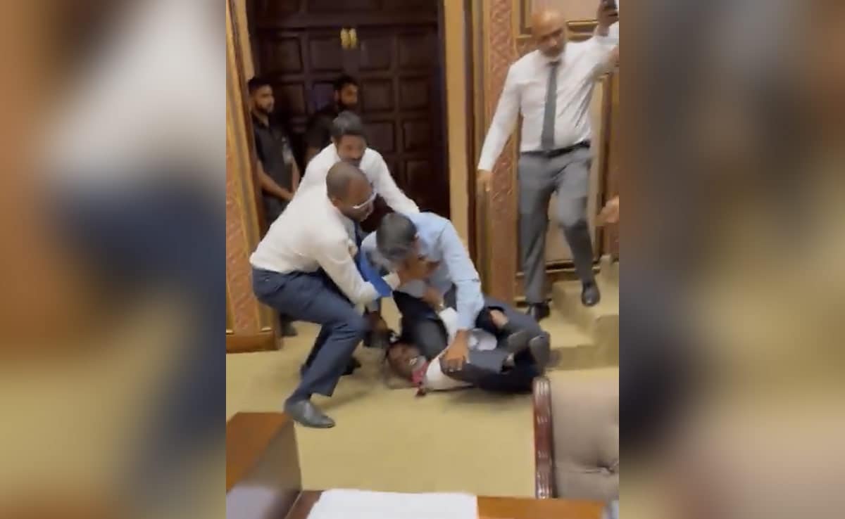 Video: Maldives MPs Punch, Kick Each Other Inside Parliament