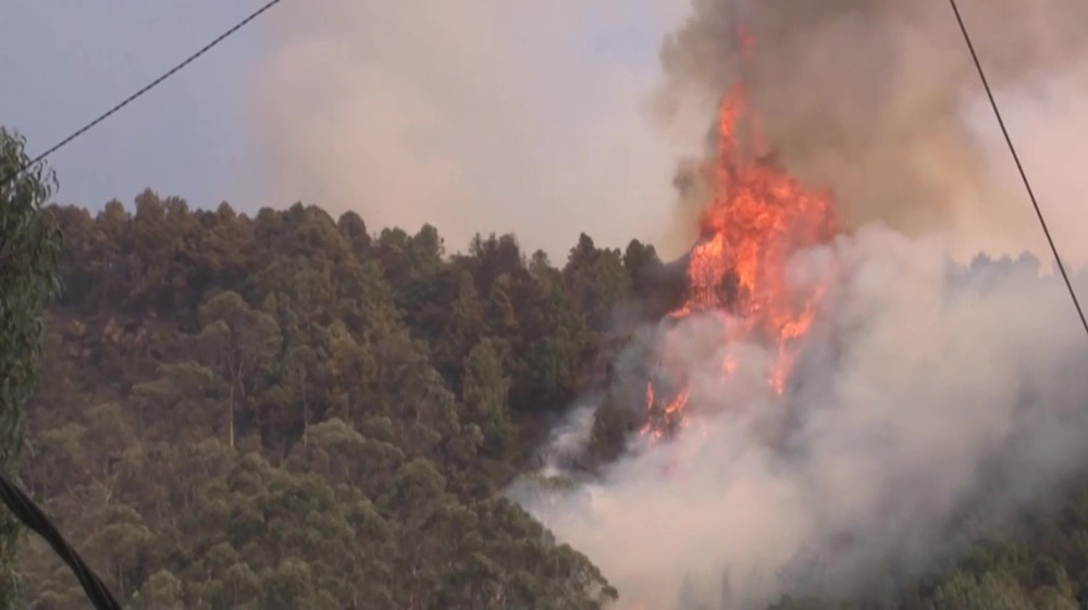 Firefighters continue work as Colombia seeks help with forest fires