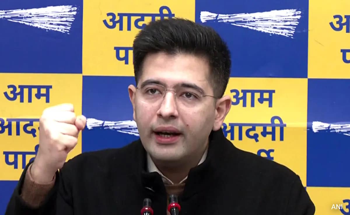 "Will Approach High Court For Fresh Mayoral Polls": Raghav Chadha