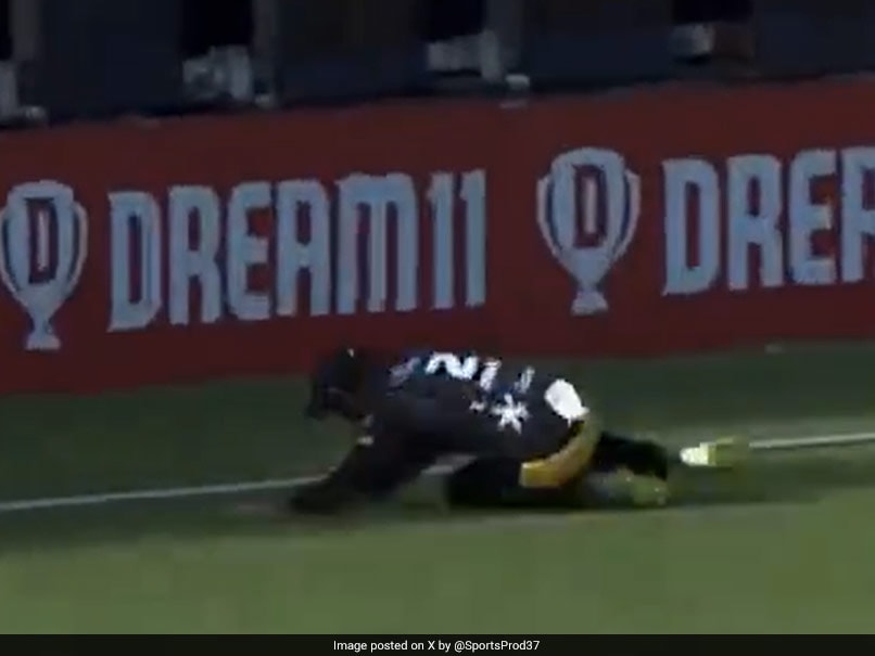 Watch: Greatest Catch Ever Taken? New Zealand Cricketers' Effort Is Viral