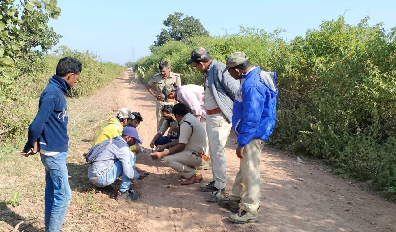 Animal trackers, base camp watchers wait for salaries since 8 months