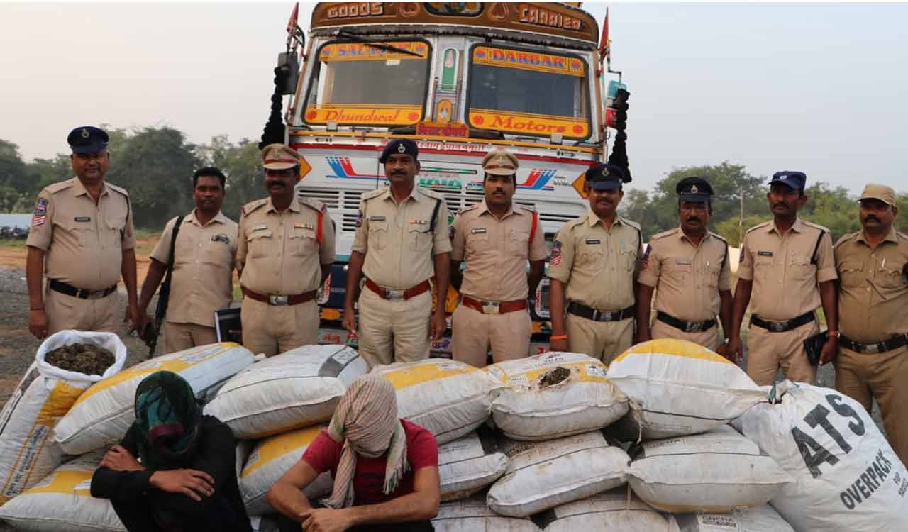 650 kg ganja seized, two arrested in Kothagudem