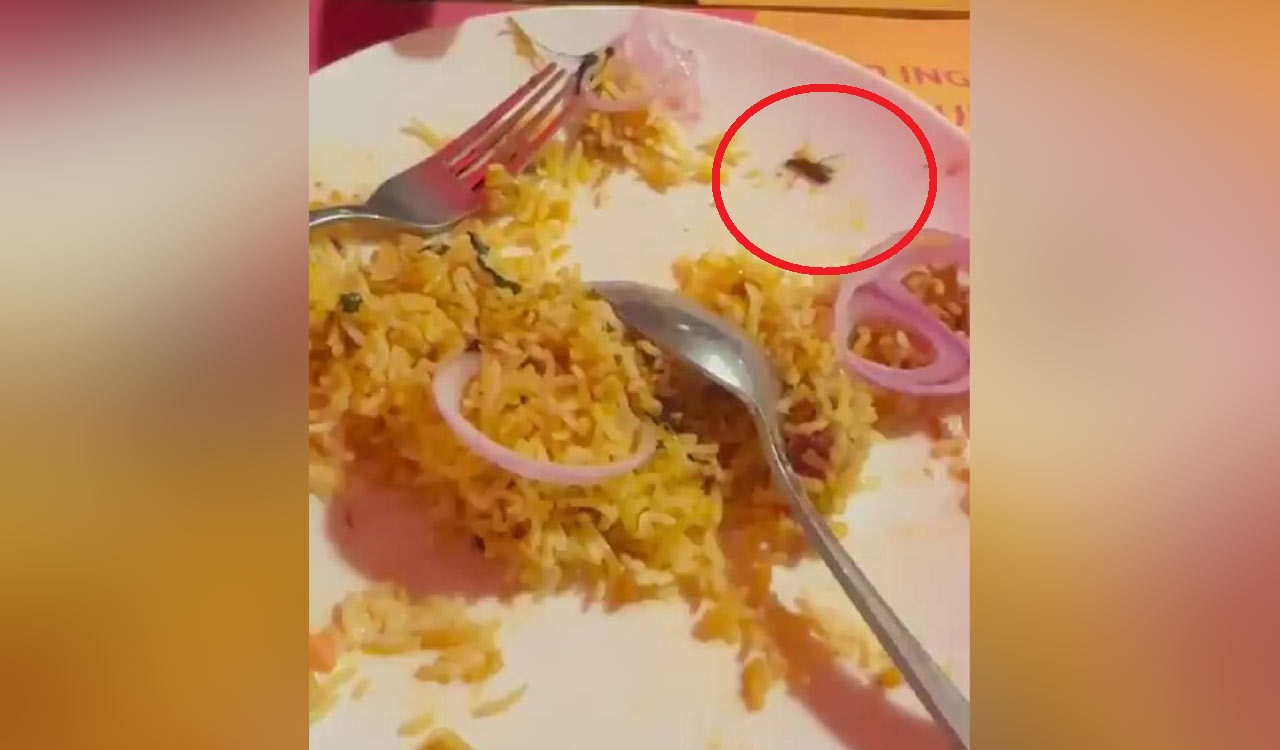 Hyderabad: Dead cockroach found in biryani at Jubilee Hills BBQ restaurant, GHMC conducts inspection