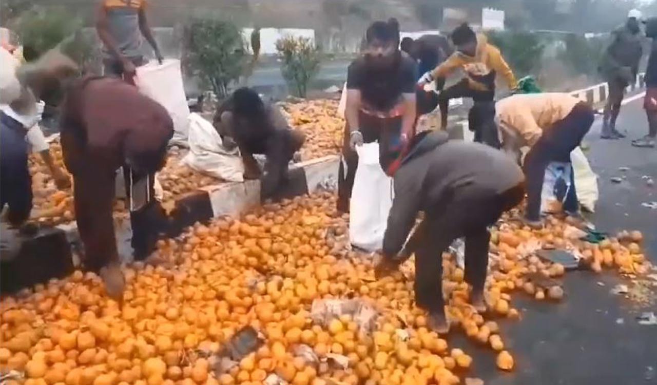 Locals flee with oranges spilled on the road after jeep overturns in Adilabad