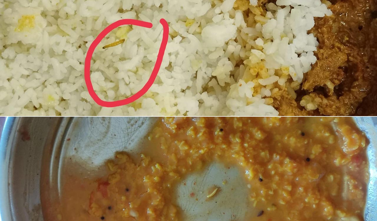 Dining nightmare for OU Ladies Hostel inmates: Worms found in lunch food