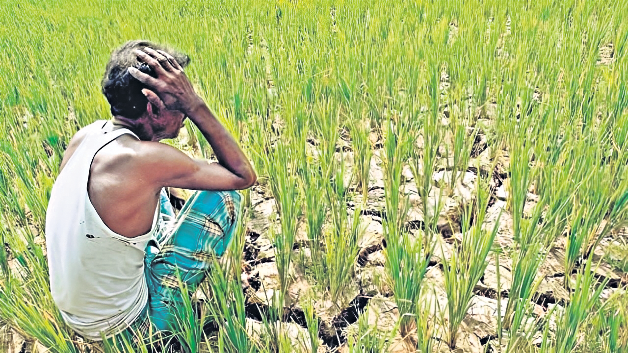 Telangana farmers face distress as they take to streets seeking Rythu Bandhu assistance