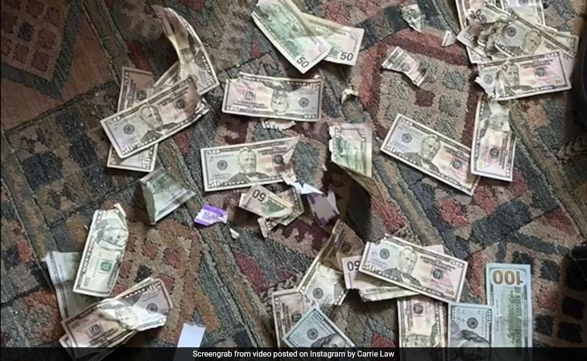 Dog Chews Up Rs 3.32 Lakh Of Owners' Cash: "I Almost Had A Heart Attack"