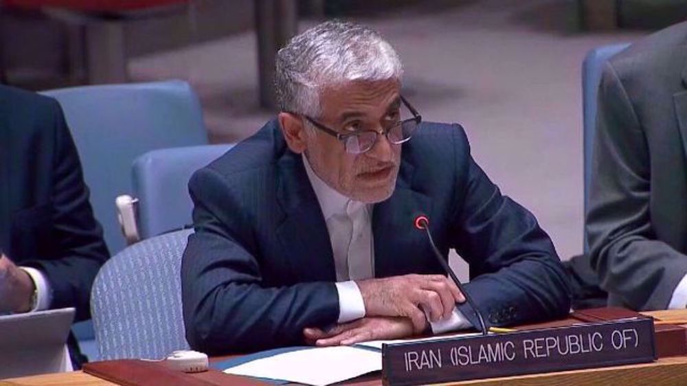 Iran slams US attempts to ‘shift attention’ from ‘root causes’ of Red Sea situation