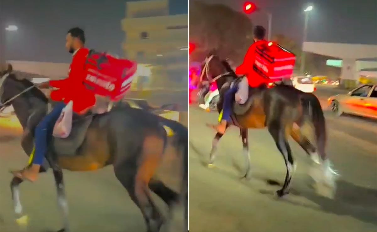 Video: Zomato Agent Delivers Food On Horse Amid Long Queues At Pumps