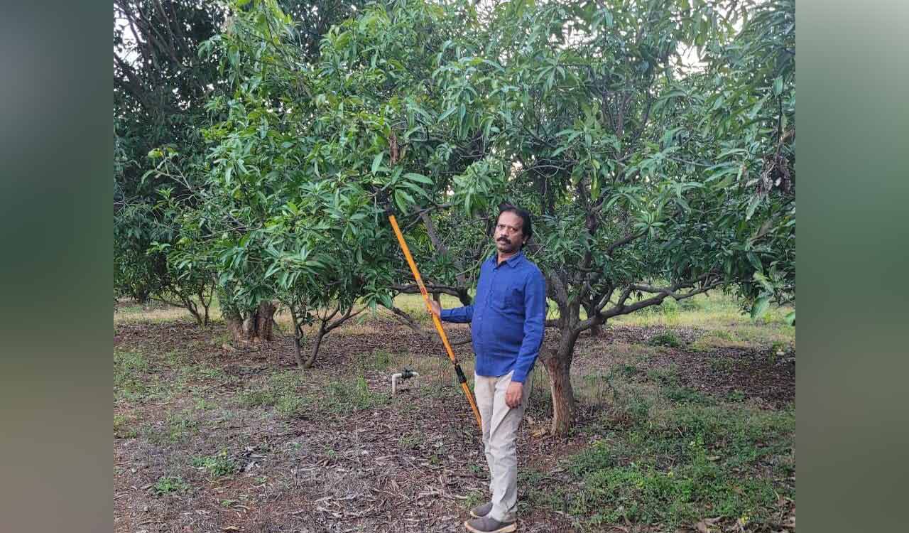 Mango farmer from Sangareddy gets invite for Republic Day celebrations